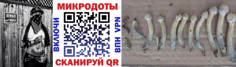 нарко площадка наркотические препараты  Чебоксары  Галлюциногенные грибы ЛСД 